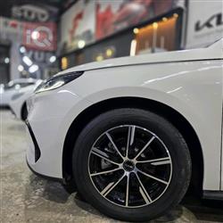 بي واي دي سيل 06 DM-i